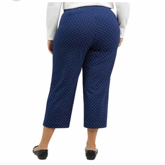 Lands' End Women's Shore Comfort Stretch Knit Carpi Pants Pull On nwt - Picture 2 of 5